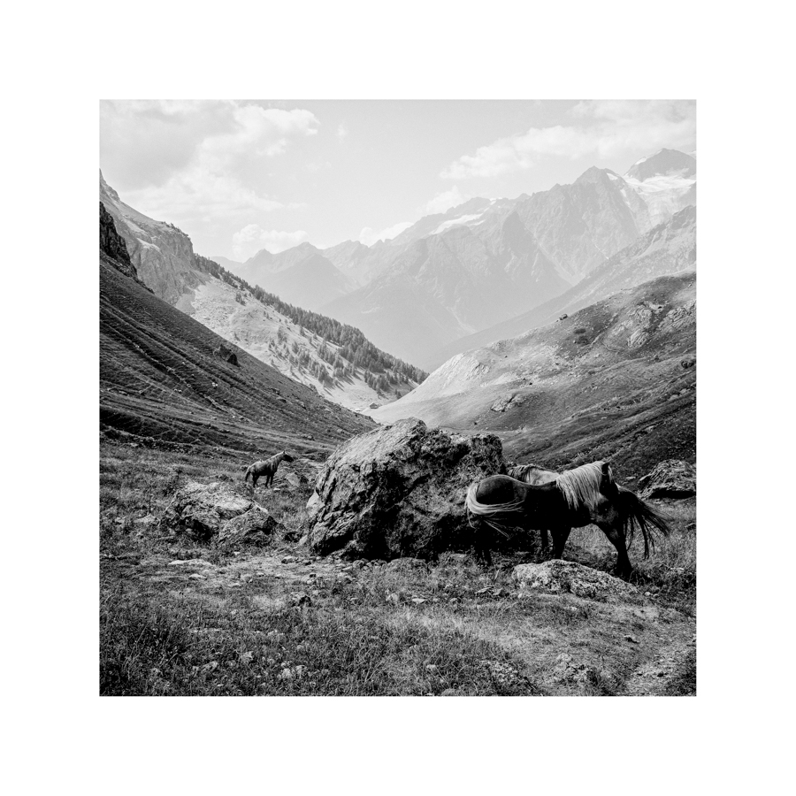 <br>014-Alpages de l'Alpe du Lauzet<br>