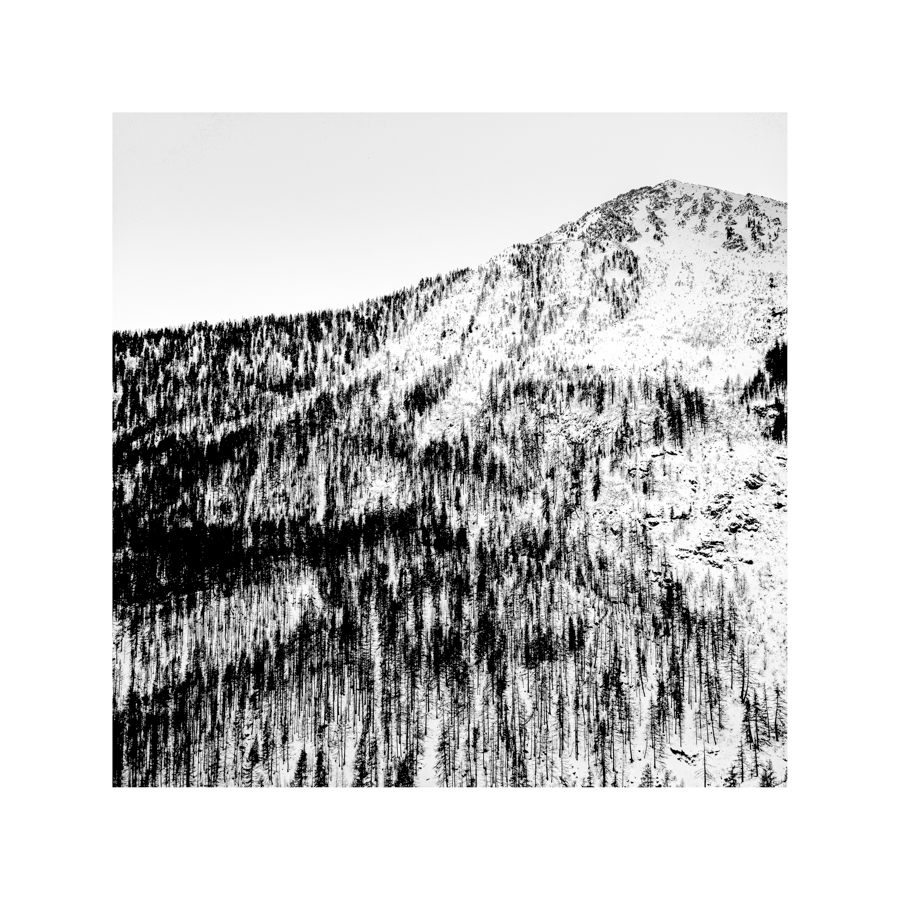 <br>012-Les arbres de la Claree<br>